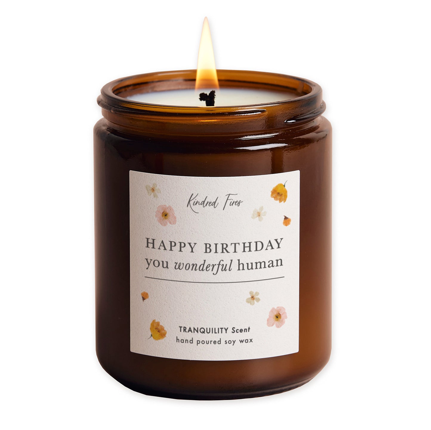 Wonderful Human Birthday Gift Jar Candle